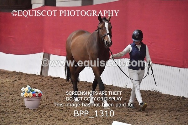 BPP_1310 - MORNING 9AM - 12PM