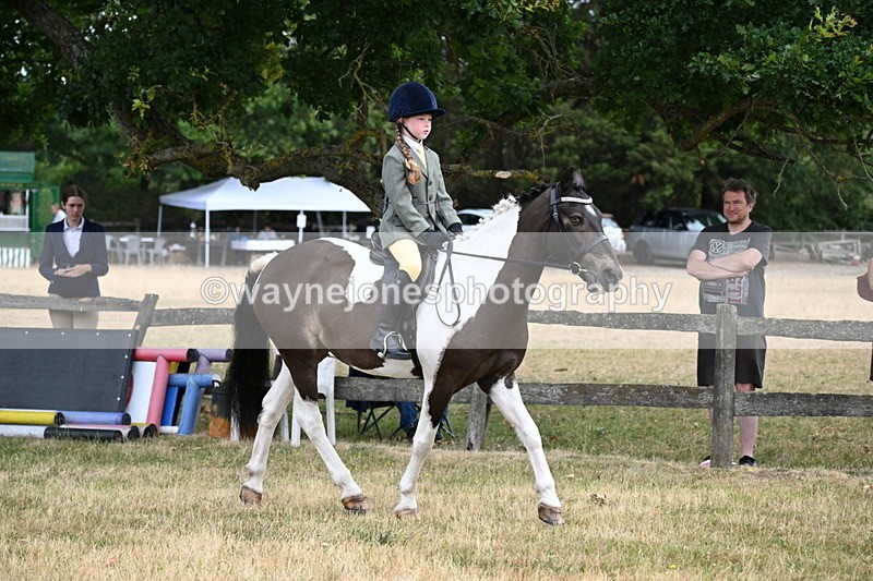 WJ6_3884 - Class 9 Tack & Turnout