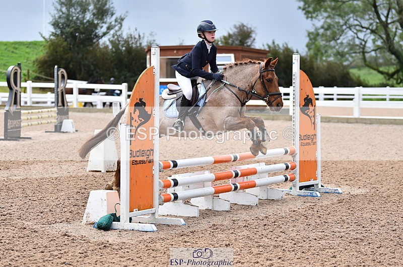 231029A-103110-02311 - 70cm Pony Intro