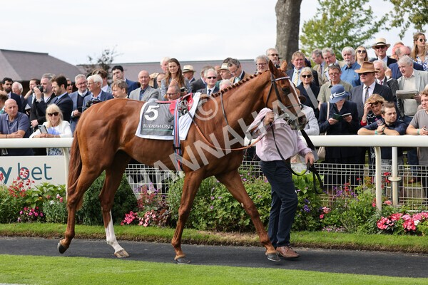 yr18082021r4-1 - Race 4 3.35pm Juddmonte International Stakes (British Champion Series race)