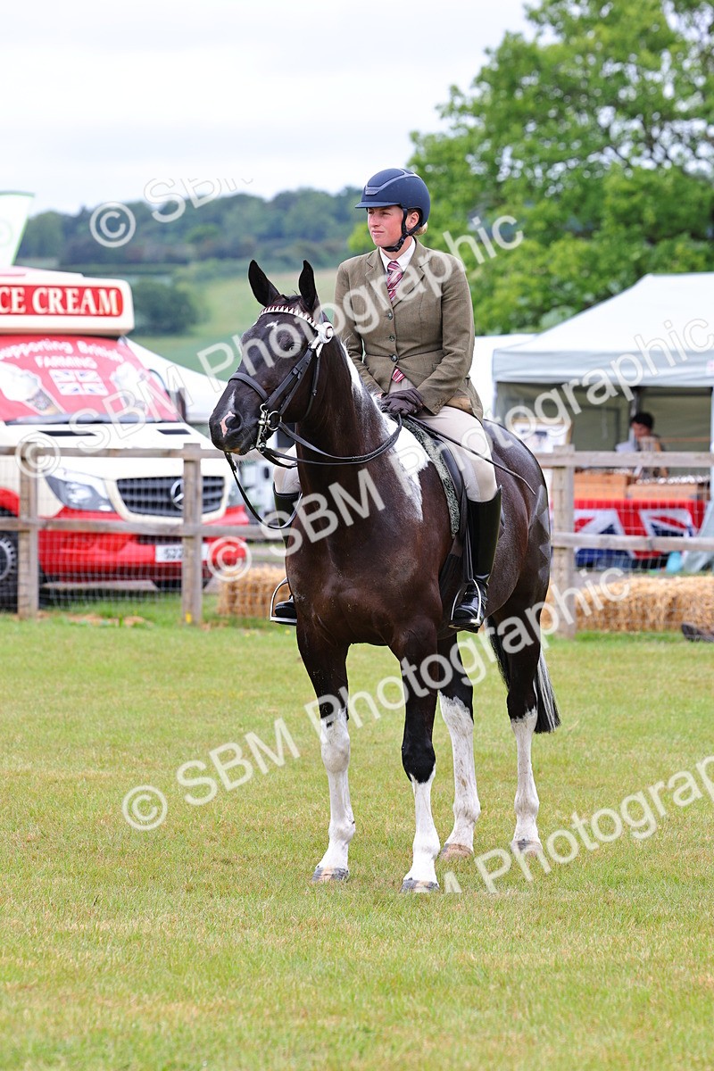 SBM_02550 - Class 9-11 Side Saddle including LIHS Rising Star Ladies Show Horse