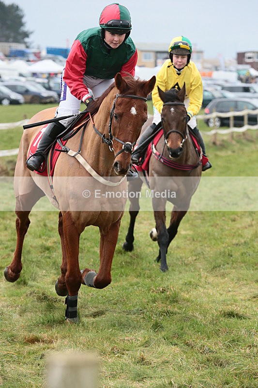 PtP 060119 77 - Larkhill Racing Club - Point-to-Point- 06/01/2019