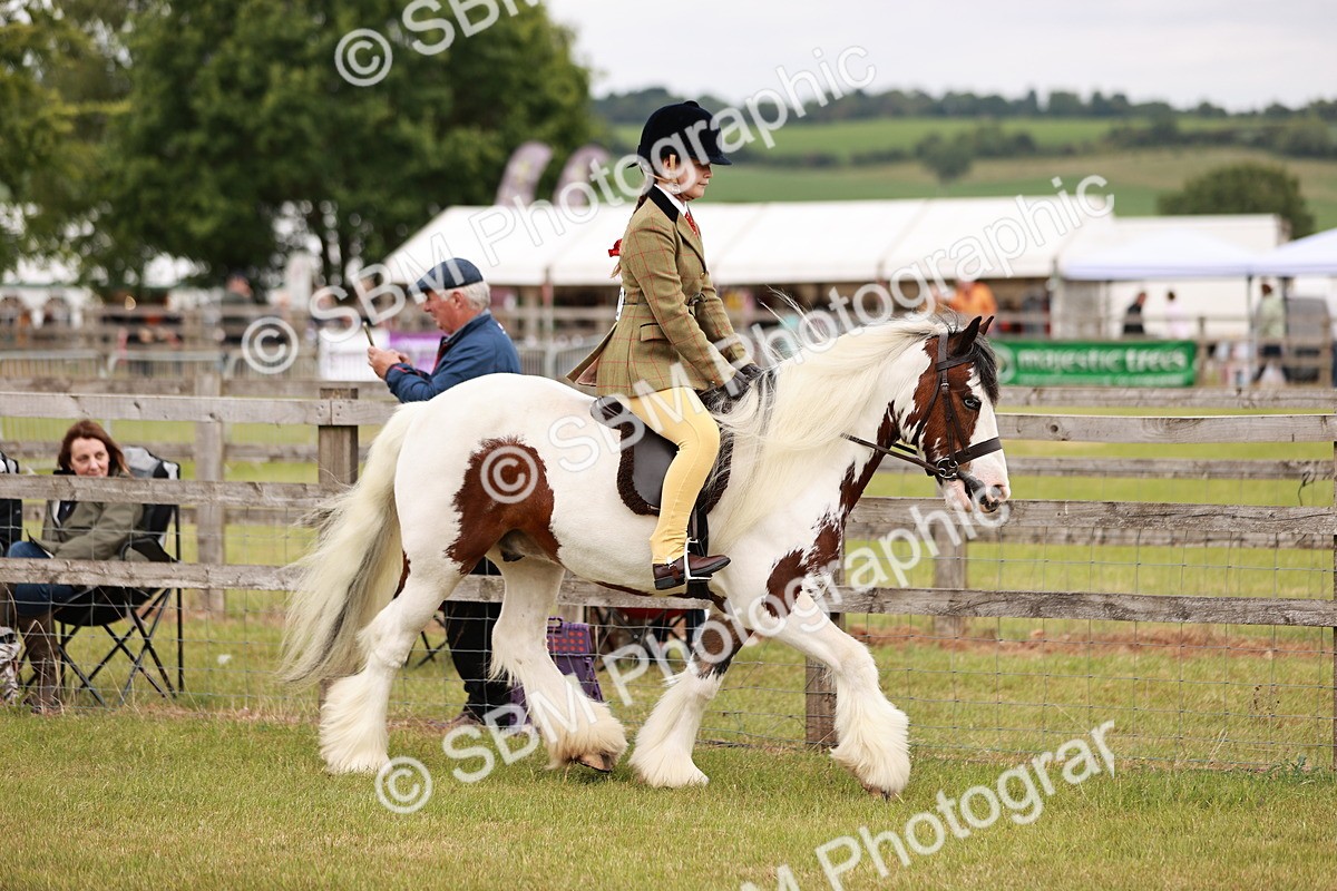 SBM_06094 - Class 39-41 TGCA In Hand and Ridden