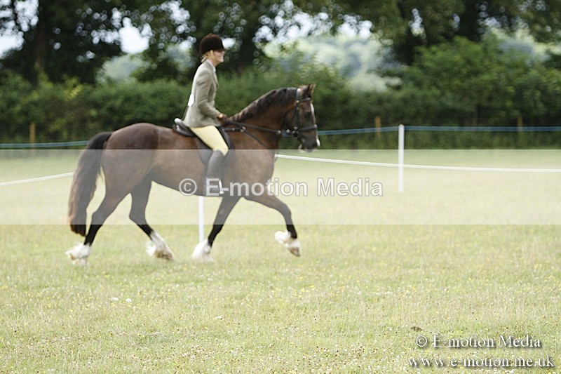 BVR160717-400 - Ring 3 BVRC Show 16/07/17