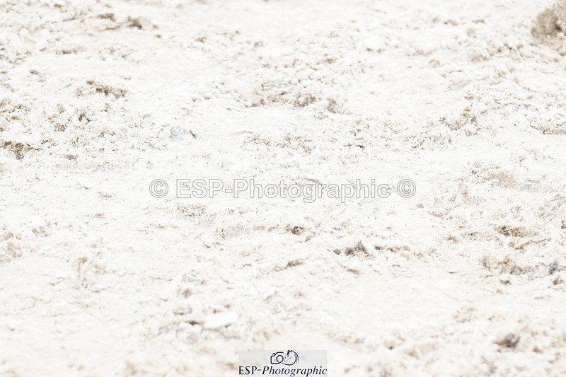 250420A-150556-01291 - Cls 05 1.00m