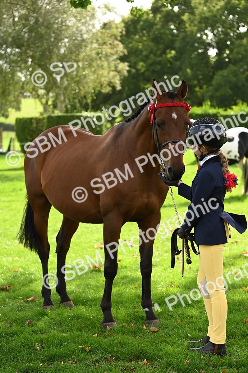 SBM_25032 - S5 - Novice & Newcomer In hand