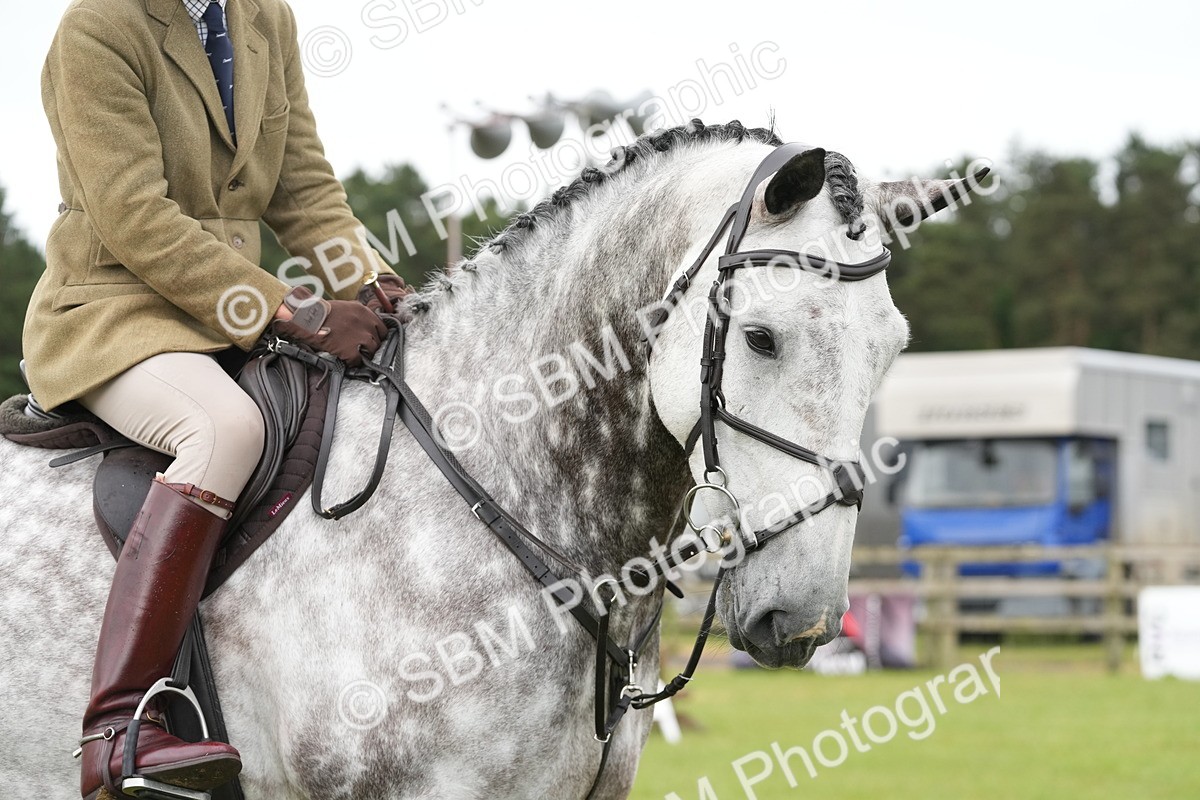 SBM_12701 - Class 97-98 - LIHS BSHA Rising Star Working Show Horse Hunter