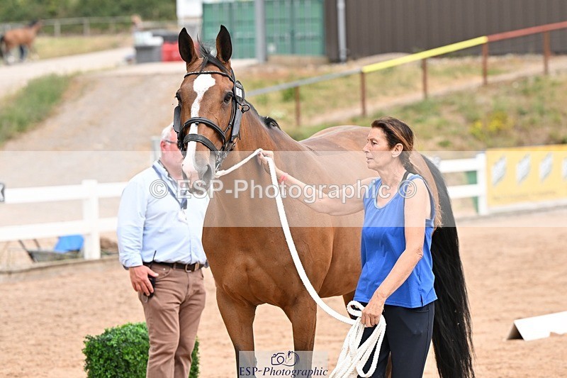 250716-144445-01354 - Trot Up 2.30 to 3.30