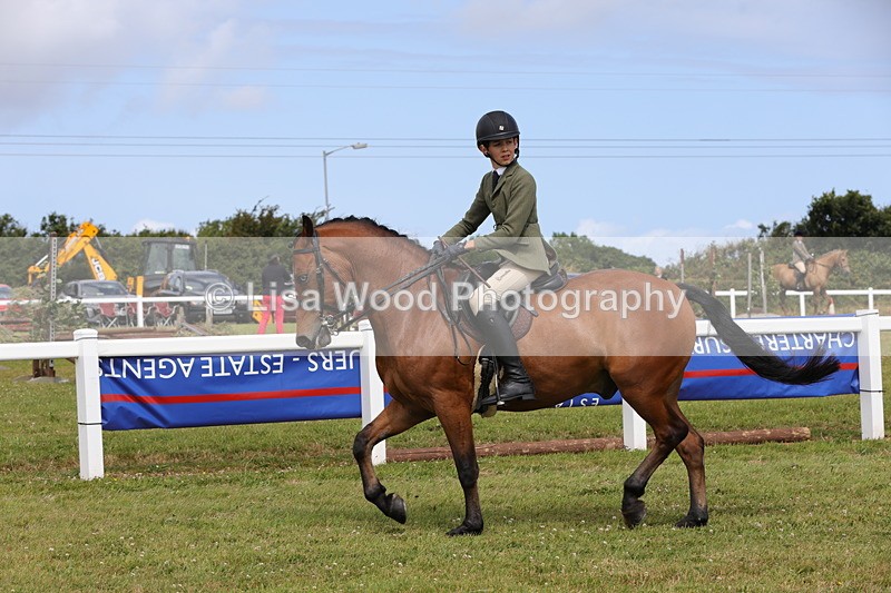 1X9A4008 - Class 32: Show Hunter Pony 153cm and under
