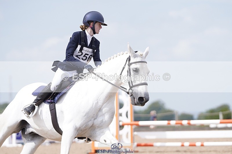 240831A-131824-03286 - 256-Tiarna.Falco-AUGHNAKEERAGH.DANNY