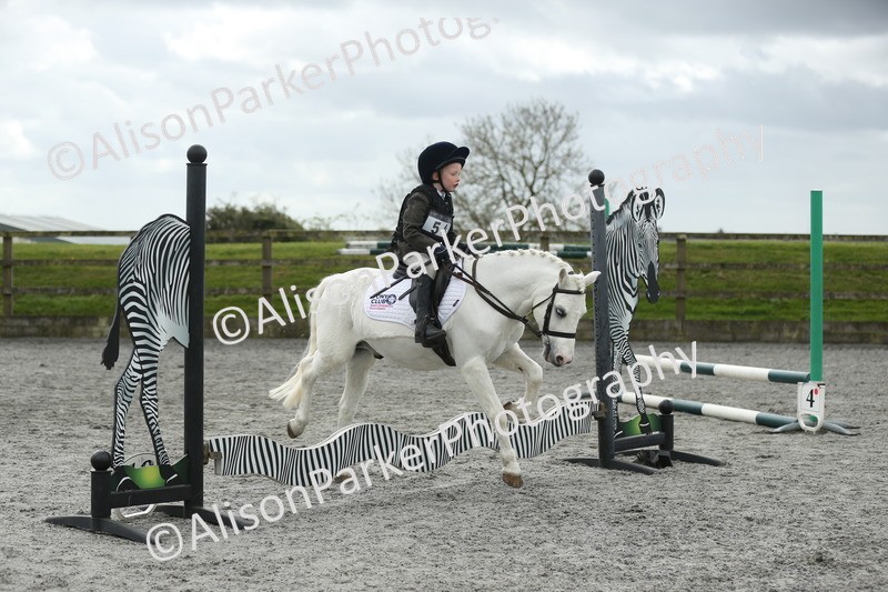 20260412-0715 - Show Jumping