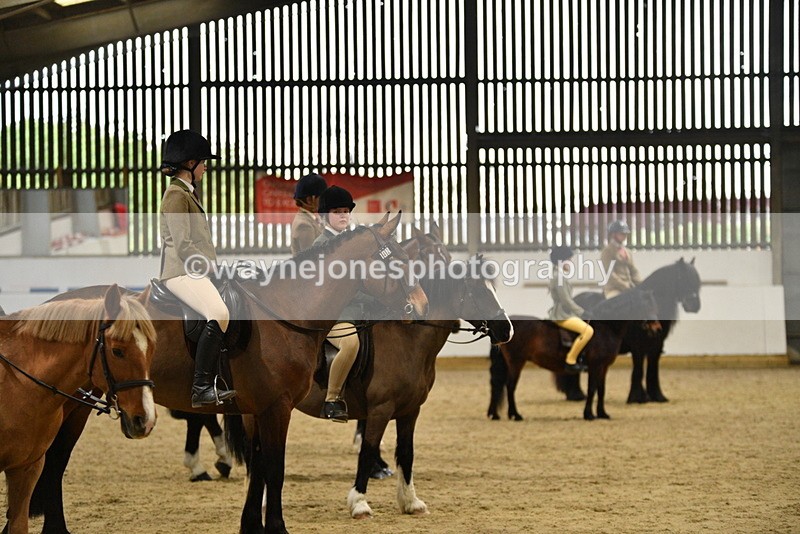 WJ5_8533 - Class 14 Novice Ridden/Rider