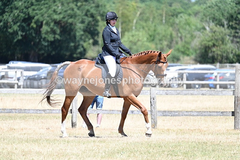 WJ7_2902 - Class 7 Riding Club Show Horse