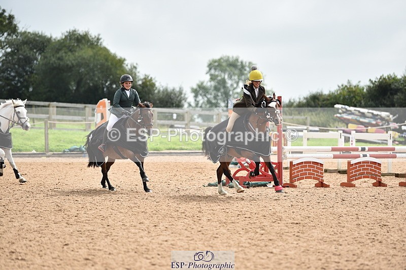 230902A-120824-00934 - Cls 2B Pony Small 80cm