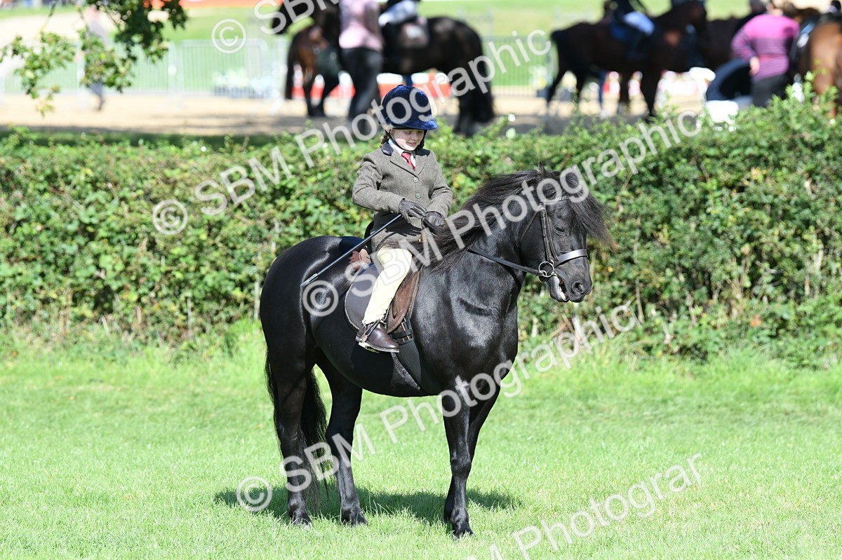 SBM_50347 - S21 - Novice & Newcomers 1st Ridden Pony