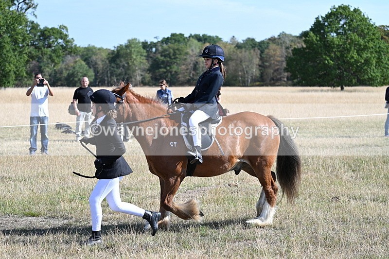 WJ7_3013 - Class 8 Ridden Tack & Turnout