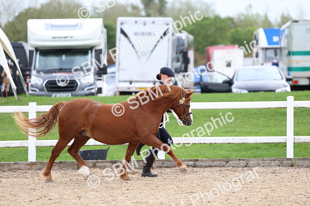 SBM_05851 - Class 29 - IH Veteran Pony