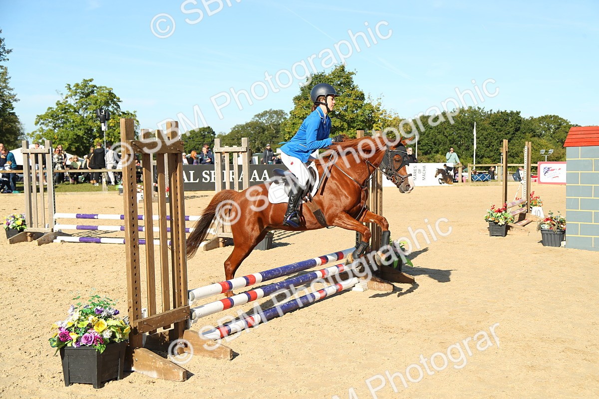 SBM_35884 - J5 - Junior Pony 50cm Championship