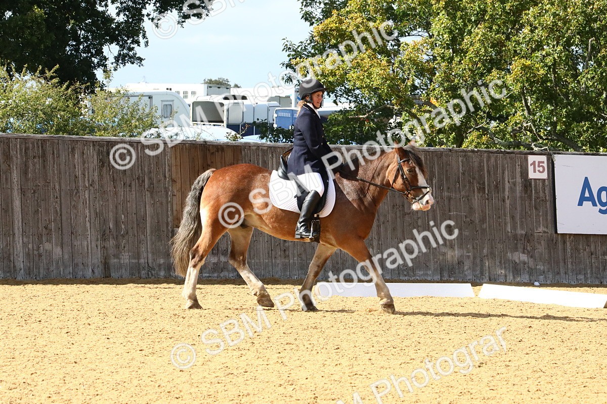 SBM_23598 - D5 - Small Tour Championshop Intro 2