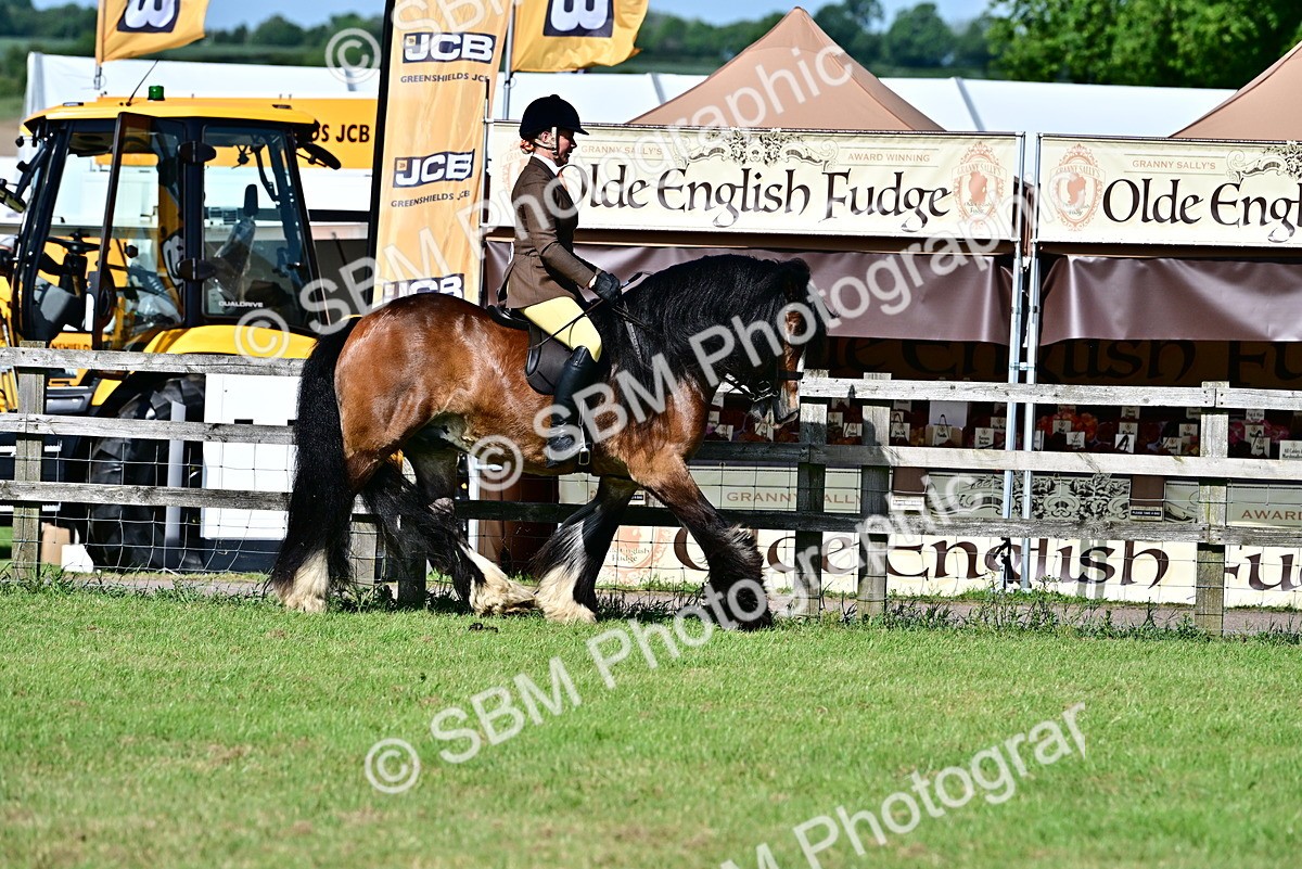 SBM_09365 - Class 63-65 - Traditional Gypsy Cobs In Hand & Ridden