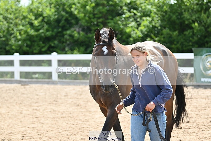 240717A-152640-02829 - Trot Up 3pm to 4pm