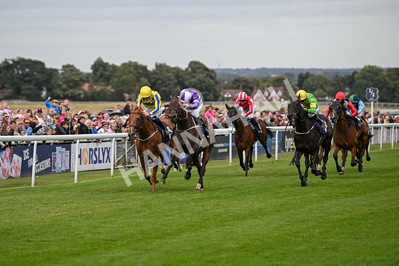 250824-Race 2-Ludos Landing-2930 - Race 2