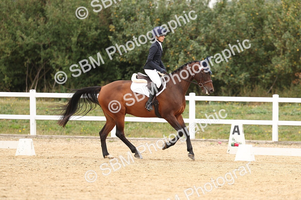 SBM_01002 - Class 8 - Novice 27 Champs