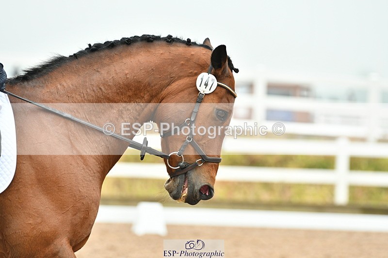 230708A-143307-02938 - Elementary 43