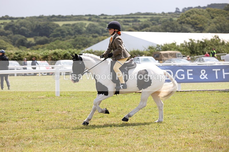 JPP_1799 - Class 18: Tiny Tots Working Hunter Pony