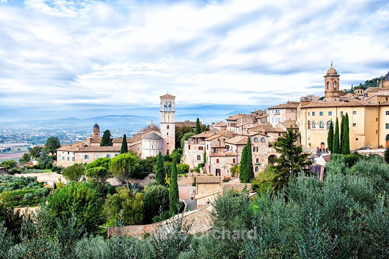 Assisi Rooftops - Italy - International Images