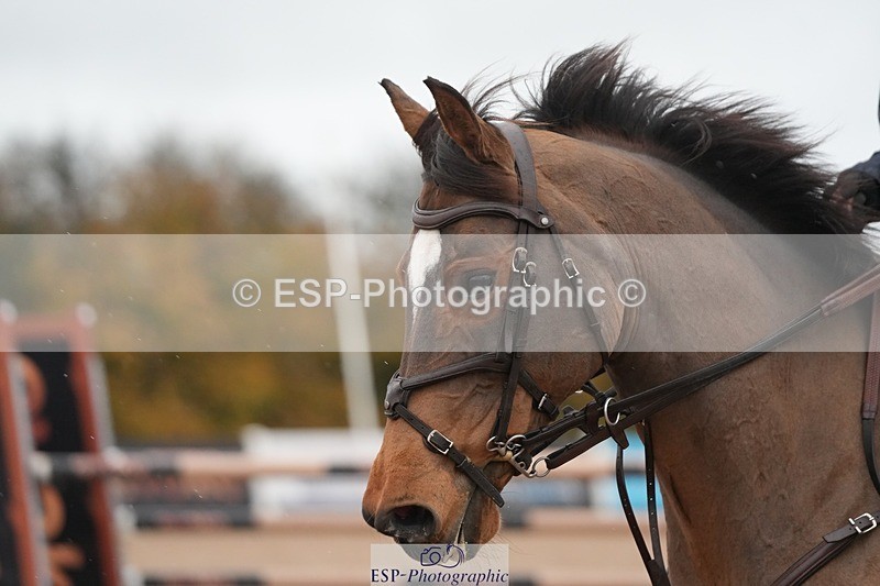 251107-132717-01155 - Cls 6 Foxhunter and 1.20m Open