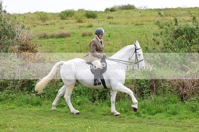 3E7A1210 - Class 7: Ridden Hunter Type