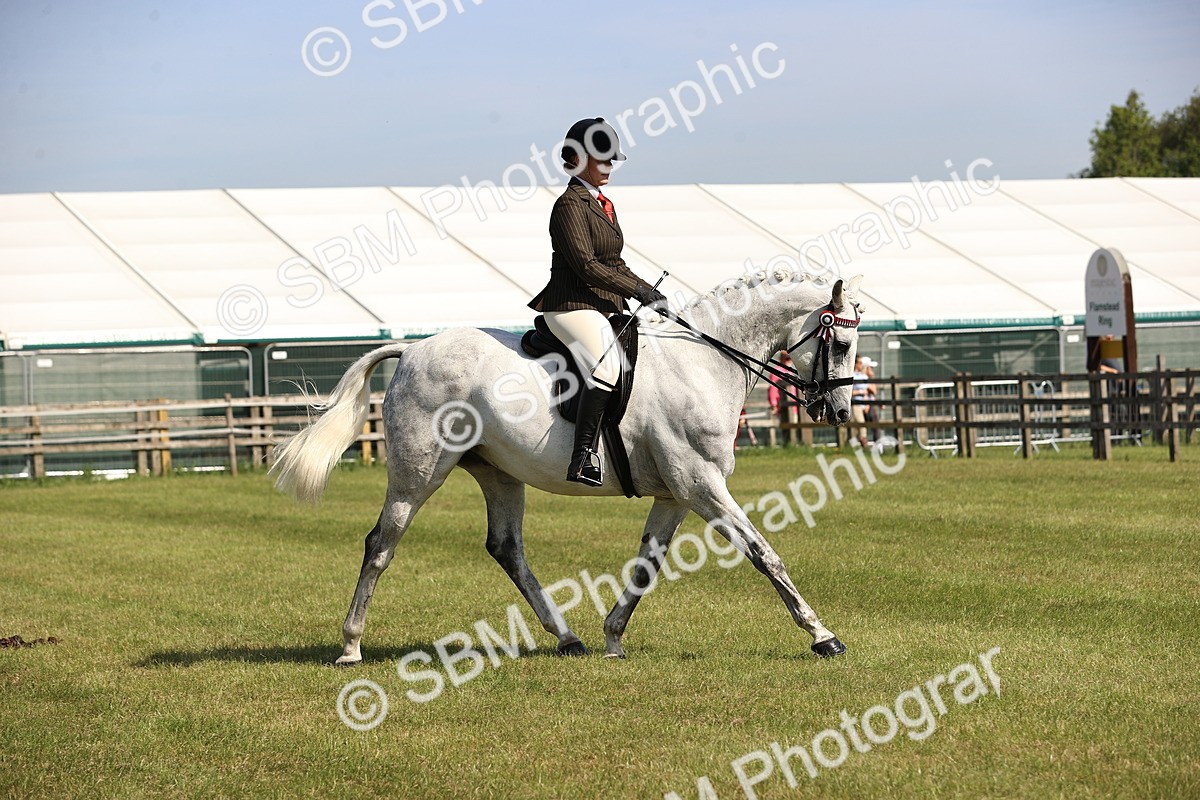 SBM_12925 - Class 75-76 LIHS BSHA Rising Star Hack Riding Horse