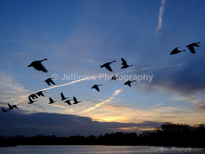  - Landscapes