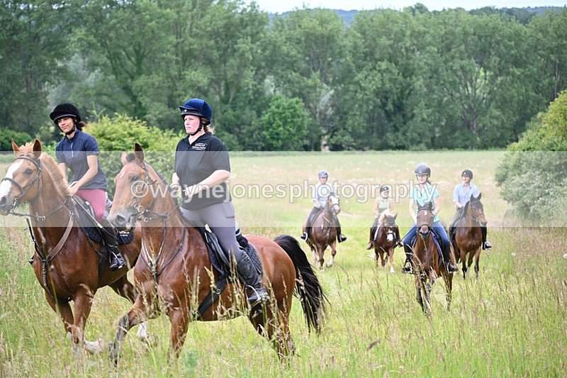 WJ6_8430 - Camera 1 Gallops