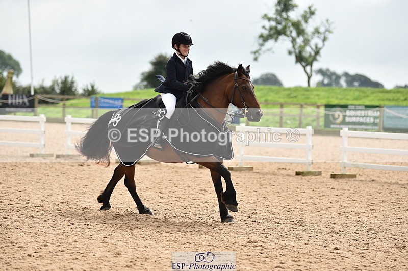 230902A-120828-00940 - Cls 2B Pony Small 80cm