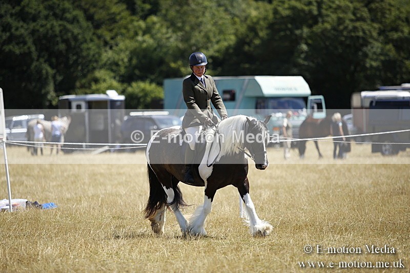 _C7A9950 - BVRC Show 2018 Ring 1