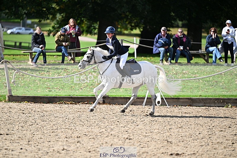 251005A-140525-04279 - Cls 09 Nov 80-85cm