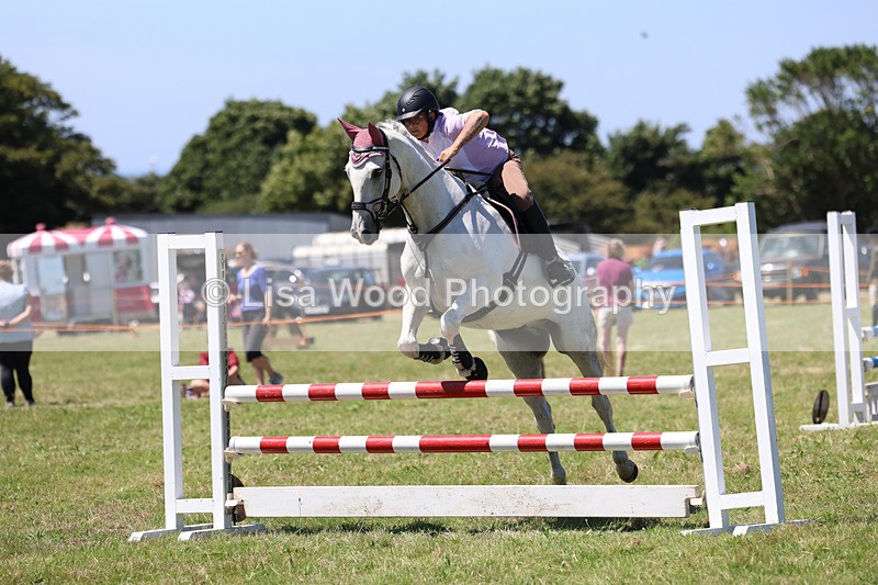 3E7A5657 - Class 9: Senior British Novice/90cm open