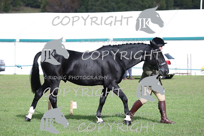 APP_2566 - Class 9 Veterans in hand