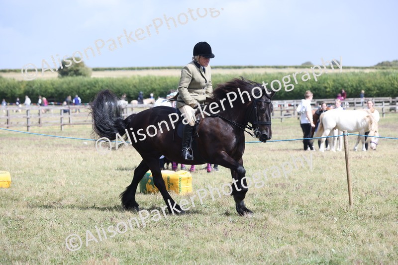 20250831-2929 - Class 19 - Mountain and Moorland