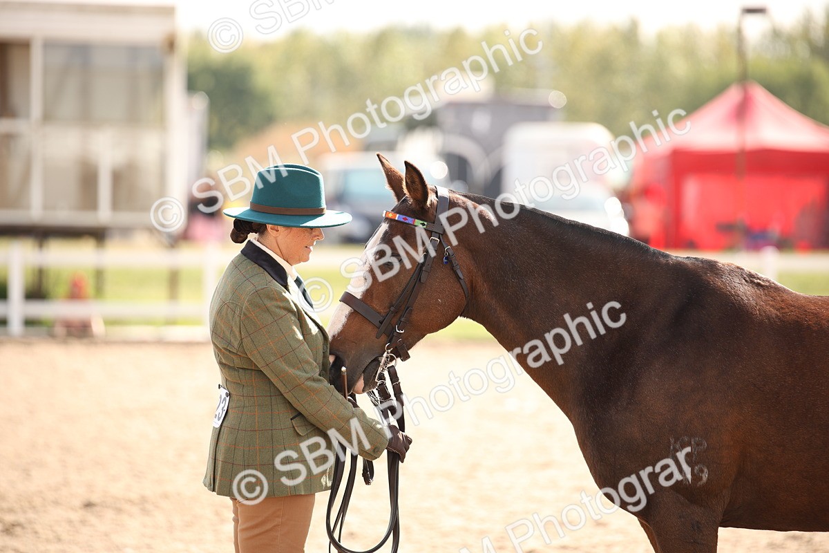 SBM_07407 - Class 26 IH Foreign Breeds -Part bred