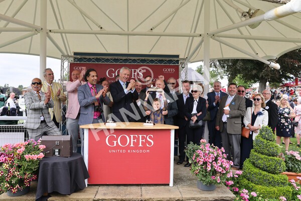 yr18082022r2-77 - Race 2 2.25pm Goffs UK Harry Beeby Premier Yearling Stakes