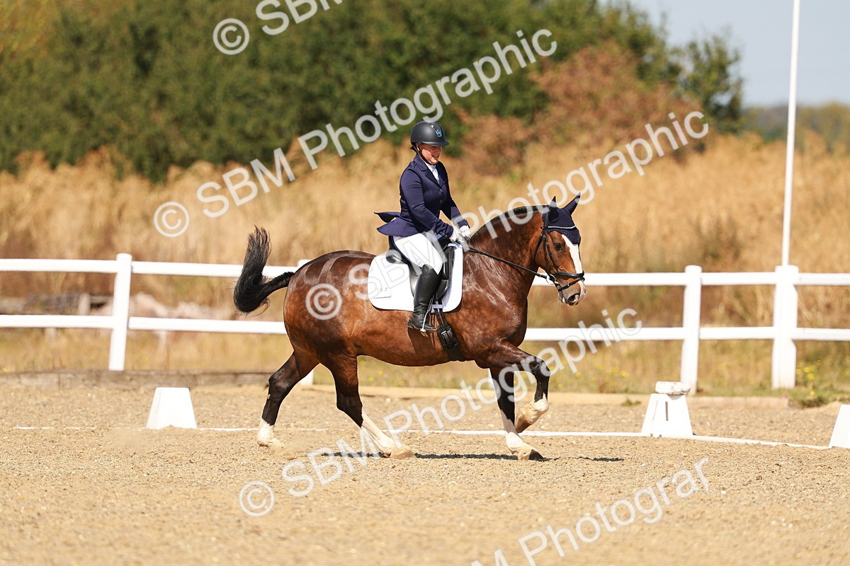 SBM_017936 - Class 9 - N5 Bronze 10.33.11.36