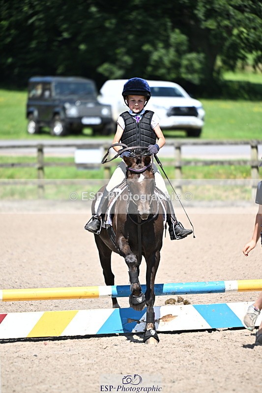 240729B-115819-02565 - Showjumping Competition