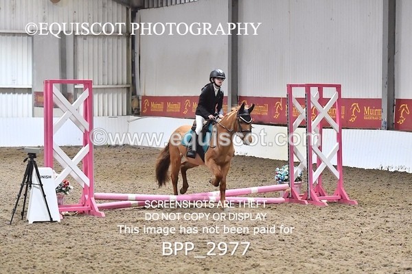 BPP_2977 - CLASS 0 Clear Round Show Jumping
