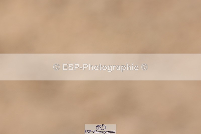 240706A-142219-03062 - Cls 8A Snr RT Prelim 12 Start to 14.30 break