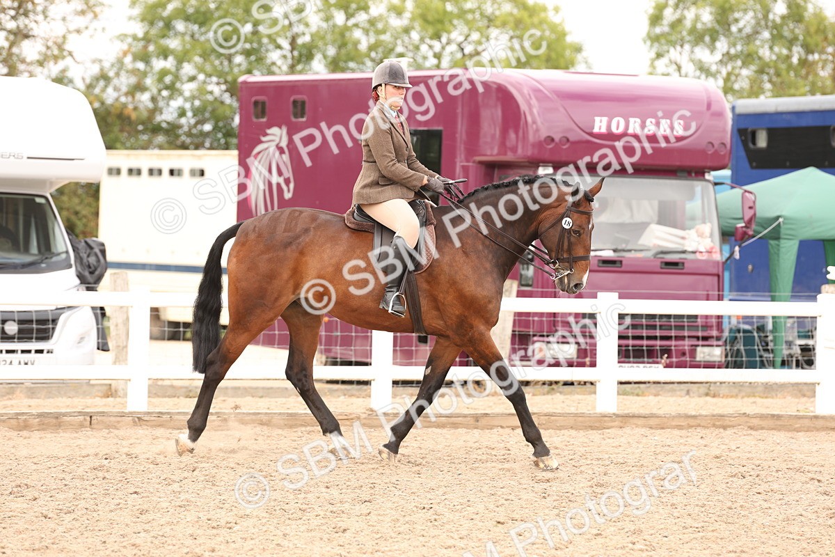 SBM_17193 - Class 213 - Ridden Hunter - Large