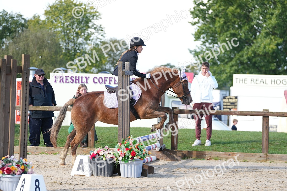 SBM_38251 - J6 - Junior Pony 55cm Championship