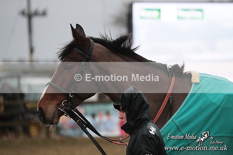 PtP 260125 959 - Cocklebarrow Point-to-Point racing with the Heythrop Hunt 26/01/25